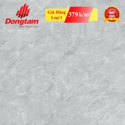 Gạch Đồng Tâm Khu Vực Hà Đông